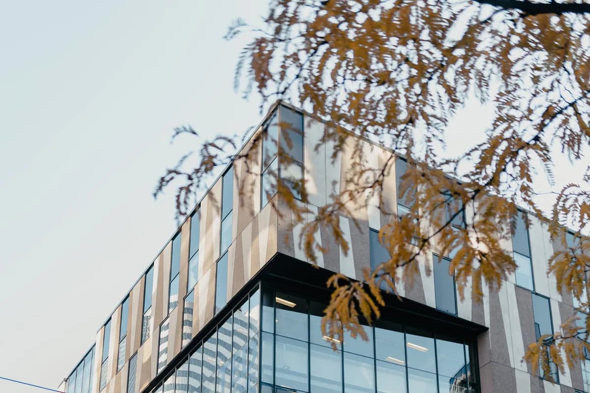 Modern glass and stone building seen from below, framed by autumn branches