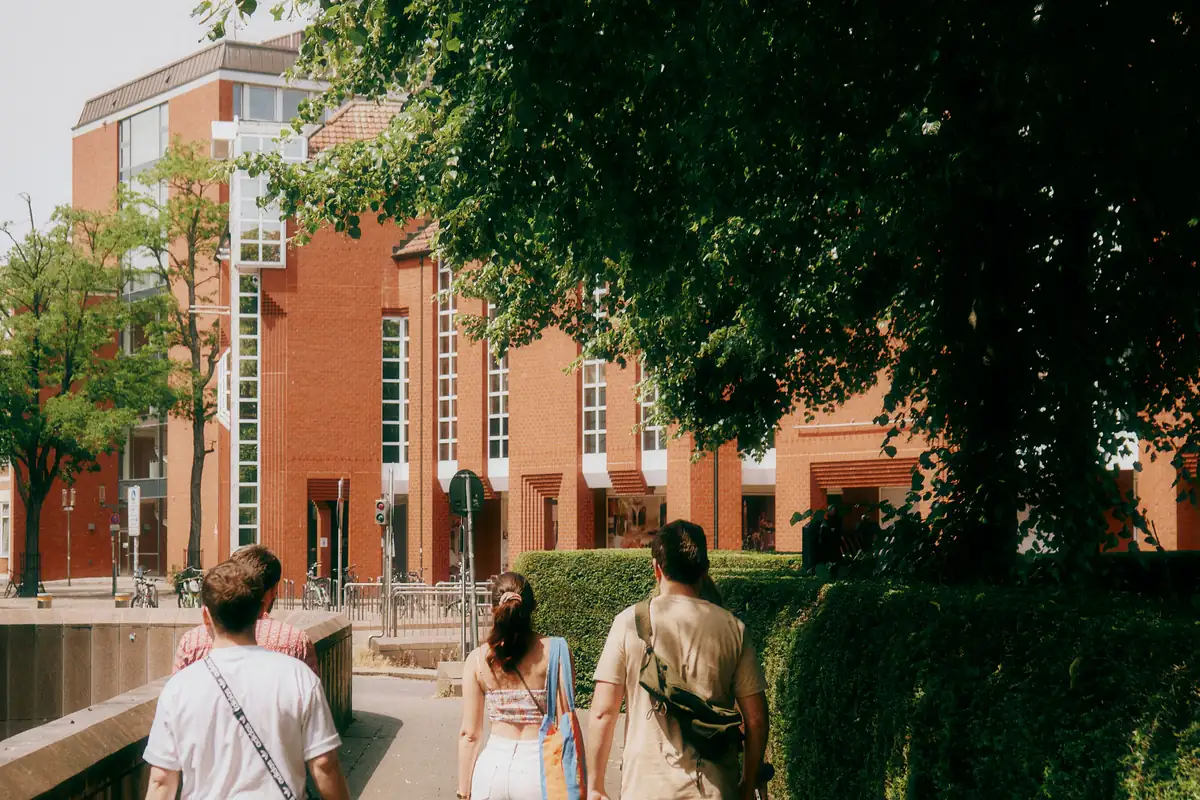 Students seen from behind walking along a tree-lined path towards a red-brick university building
